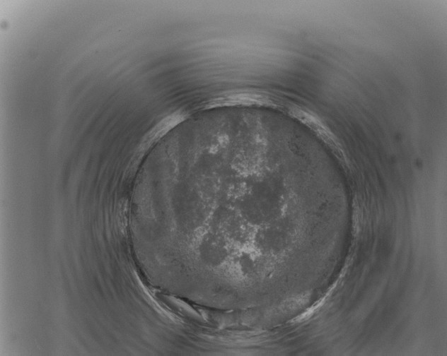 X0000066511233200603311721