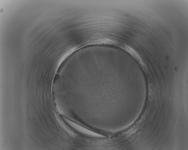 X0000066511234200603311721