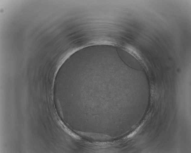 X0000066511236200603311721