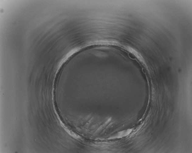 X0000066511237200603311721