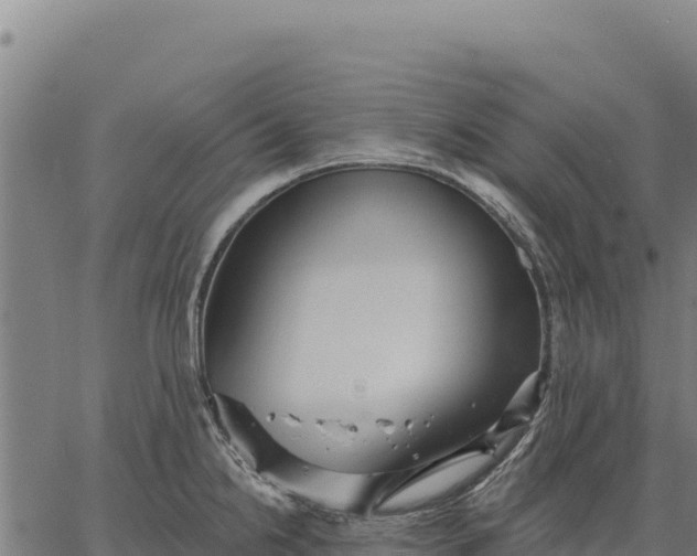 X0000066511238200603311721