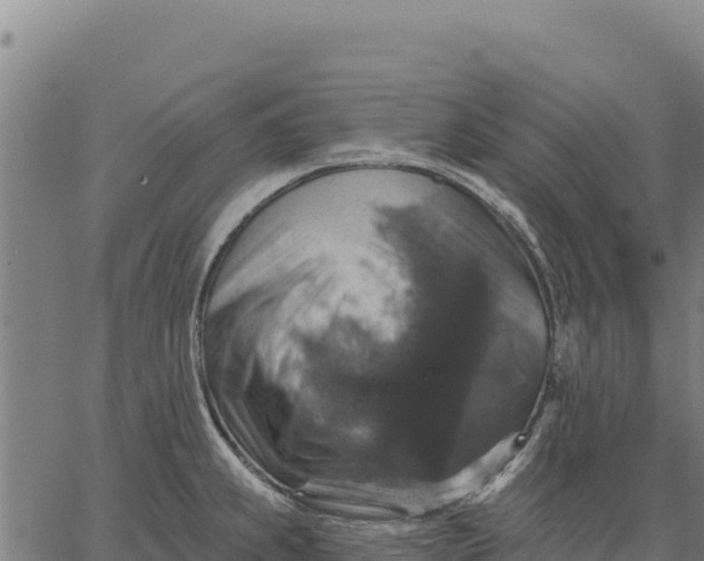 X0000066511239200603311721