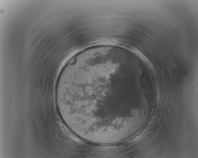 X0000066511240200603311721