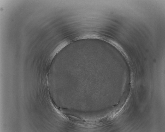 X0000066511241200603311721