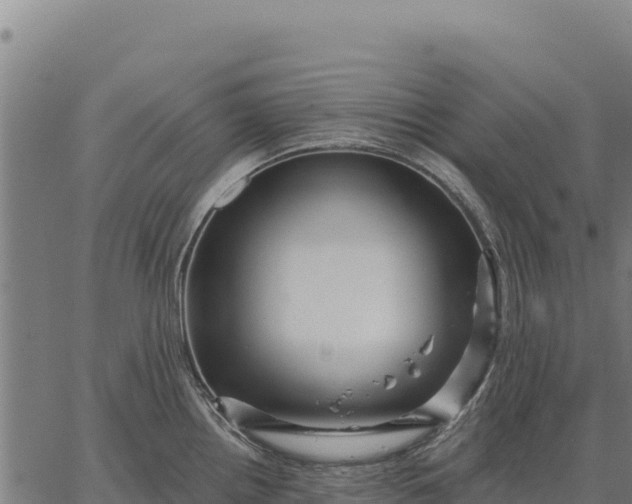 X0000066511242200603311721