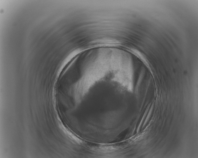 X0000066511243200603311721