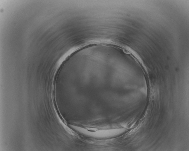 X0000066511245200603311721