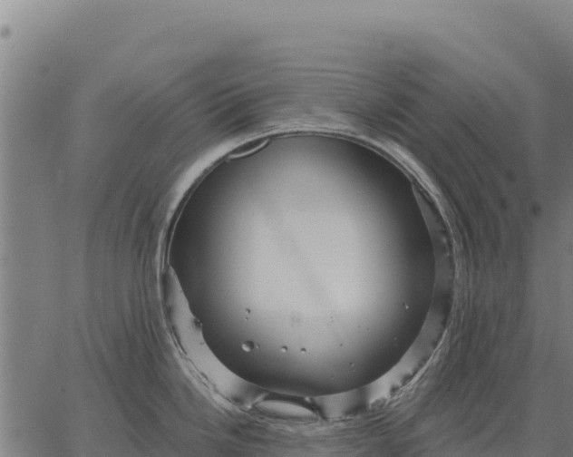 X0000066511246200603311721