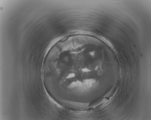 X0000066511247200603311721