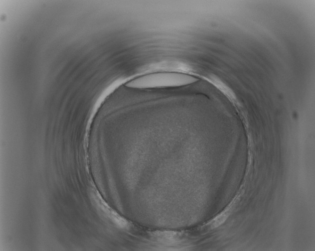 X0000066511248200603311721