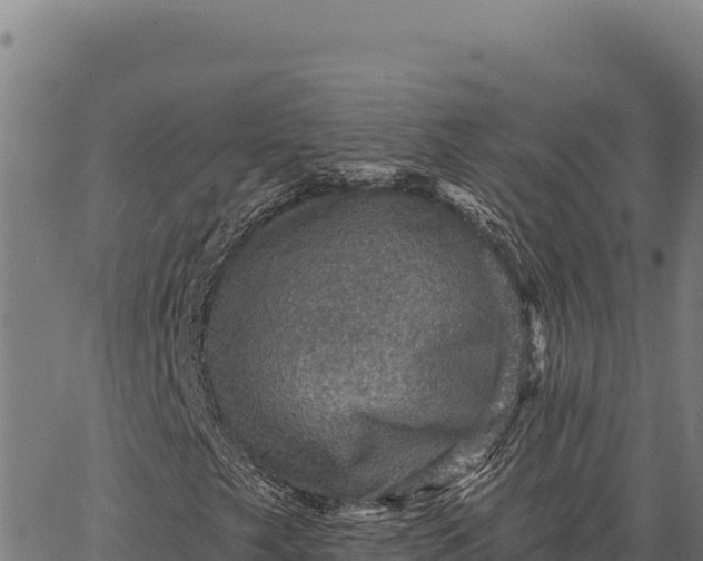 X0000066511249200603311721