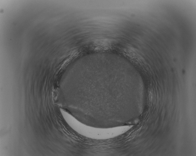 X0000066511250200603311721