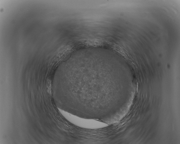 X0000066511251200603311721