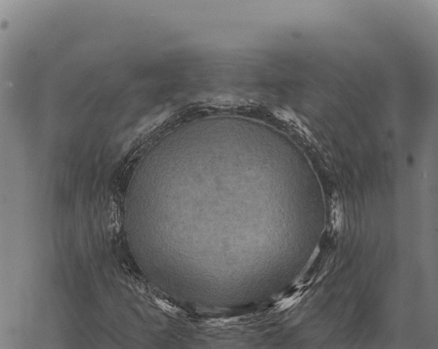 X0000066511253200603311721