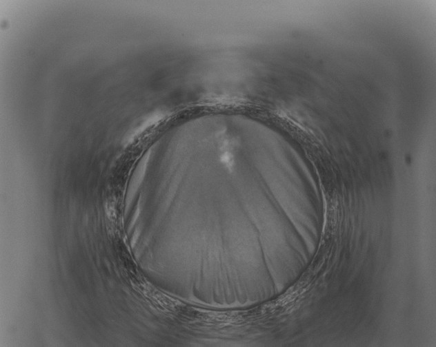 X0000066511254200603311721