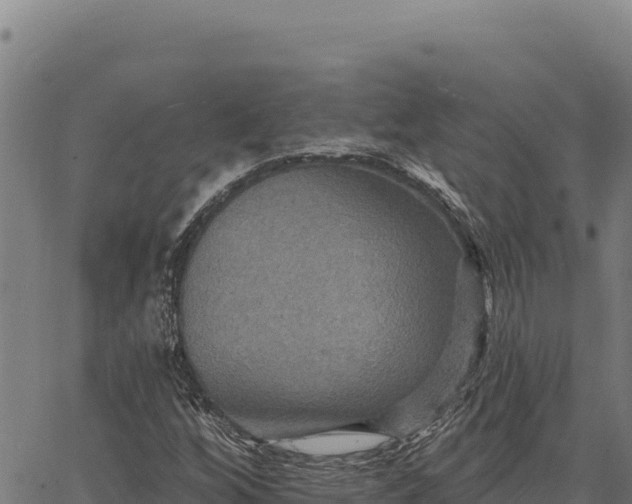 X0000066511256200603311721