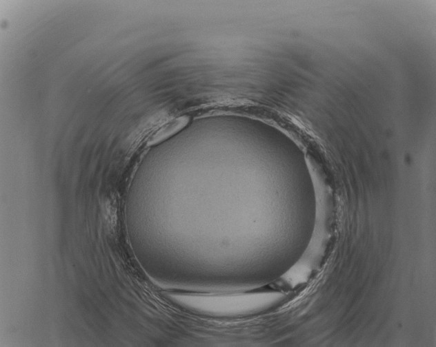 X0000066511257200603311721