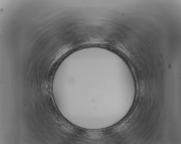 X0000066511258200603311721