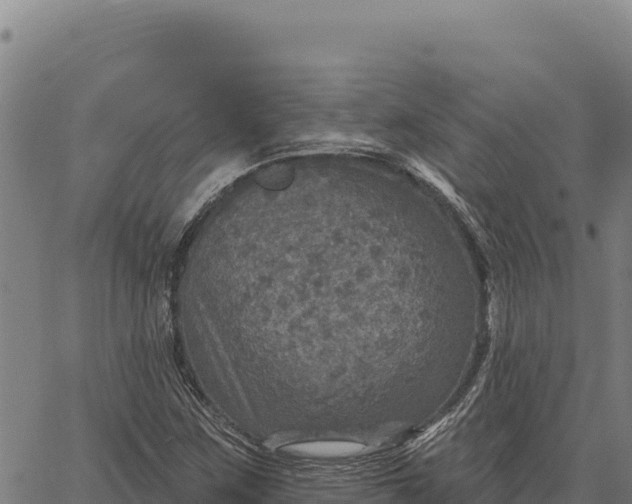 X0000066511259200603311721