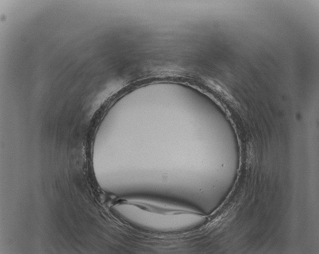 X0000066511261200603311720