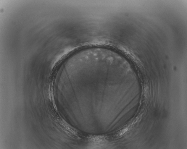 X0000066511262200603311720