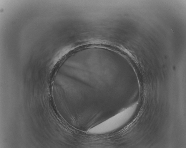 X0000066511263200603311720