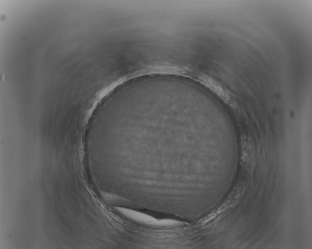 X0000066511264200603311720