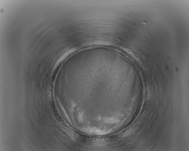 X0000066511266200603311720