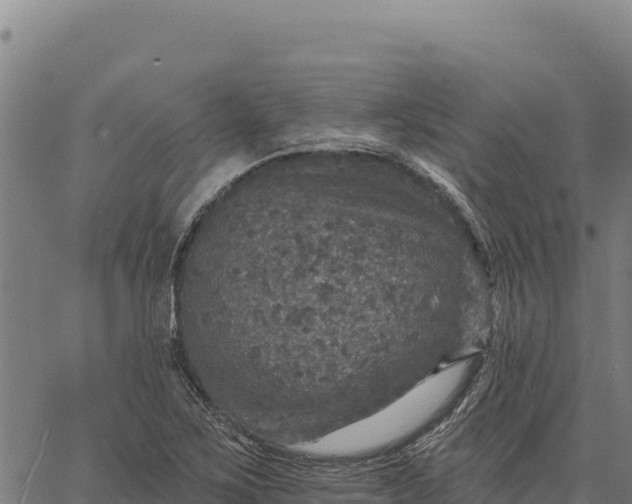 X0000066511267200603311720