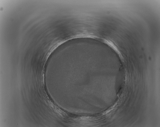 X0000066511268200603311720