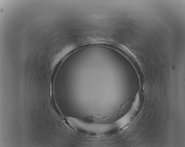 X0000066511269200603311720