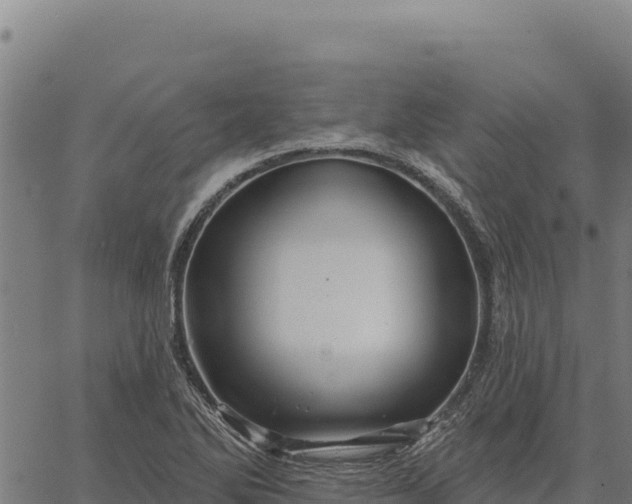 X0000066511270200603311720