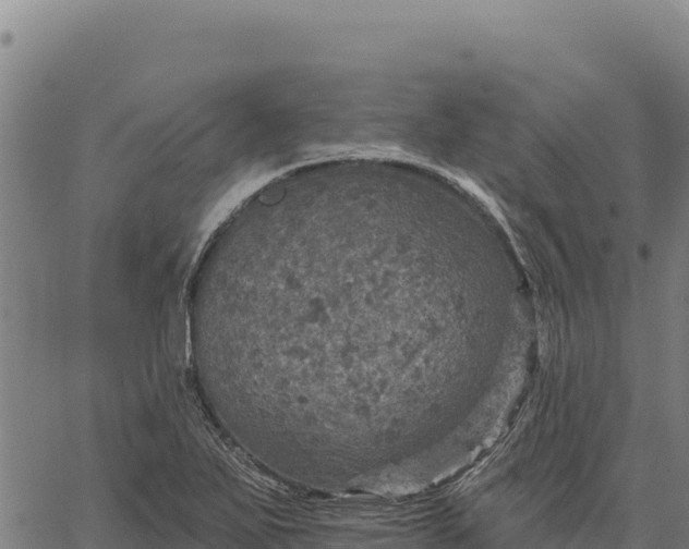 X0000066511271200603311720