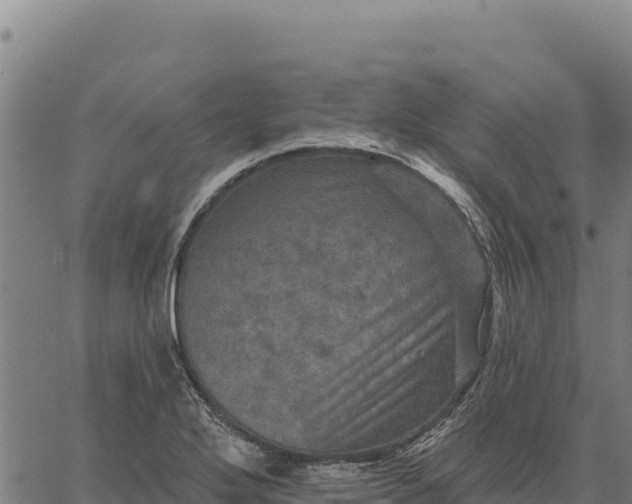 X0000066511272200603311720