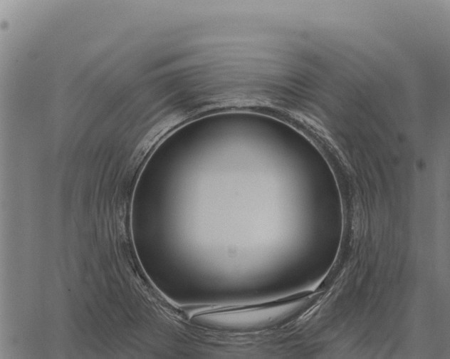 X0000066511273200603311720