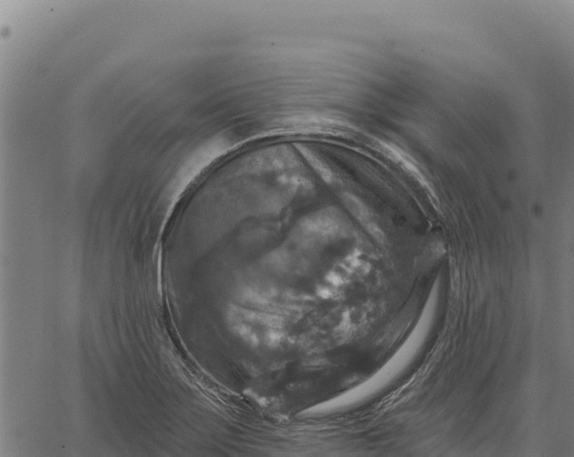 X0000066511275200603311720