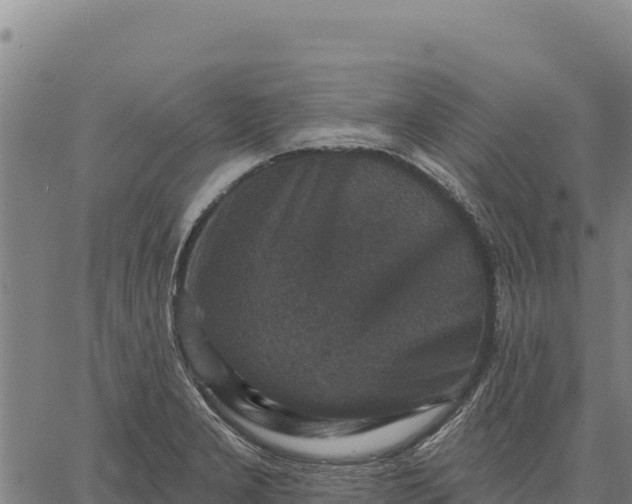 X0000066511277200603311720