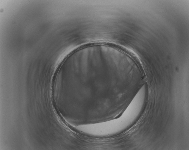 X0000066511279200603311720