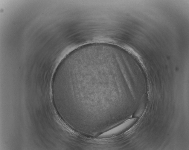 X0000066511280200603311720