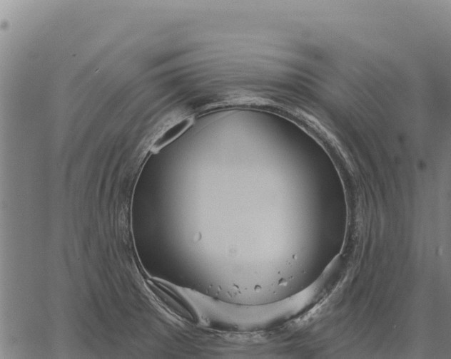 X0000066511281200603311720