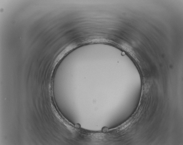 X0000066511282200603311720