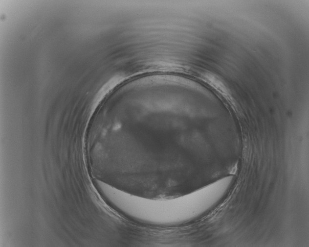 X0000066511283200603311720