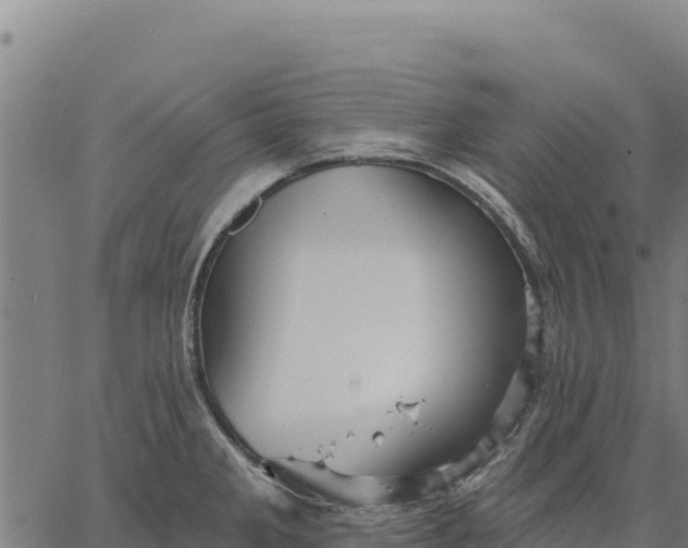 X0000066511285200603311720