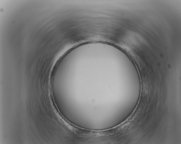 X0000066511286200603311720