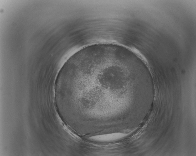 X0000066511287200603311720