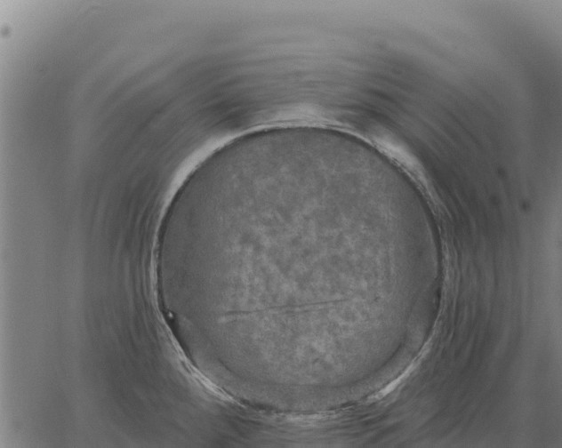 X0000066511288200603311720