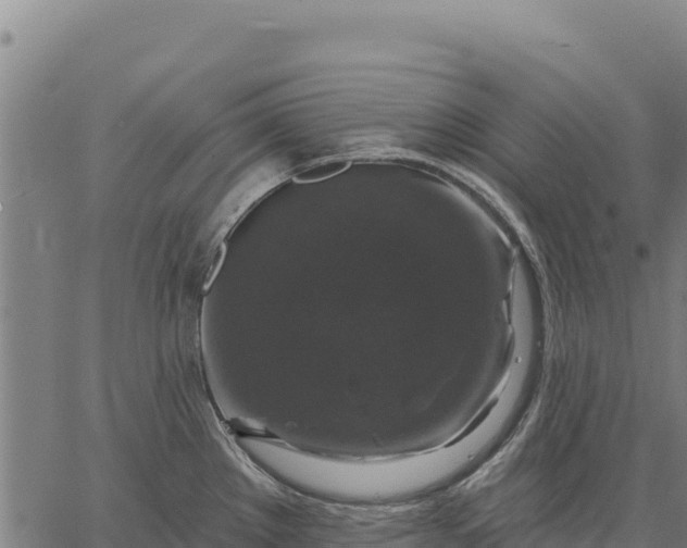 X0000066511289200603311720