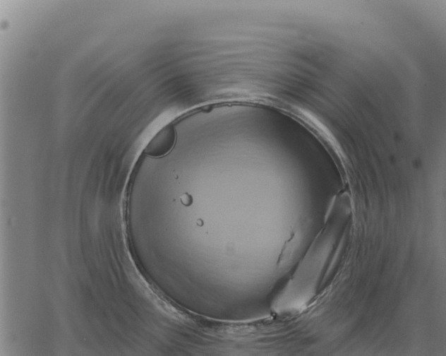 X0000066511291200603311720