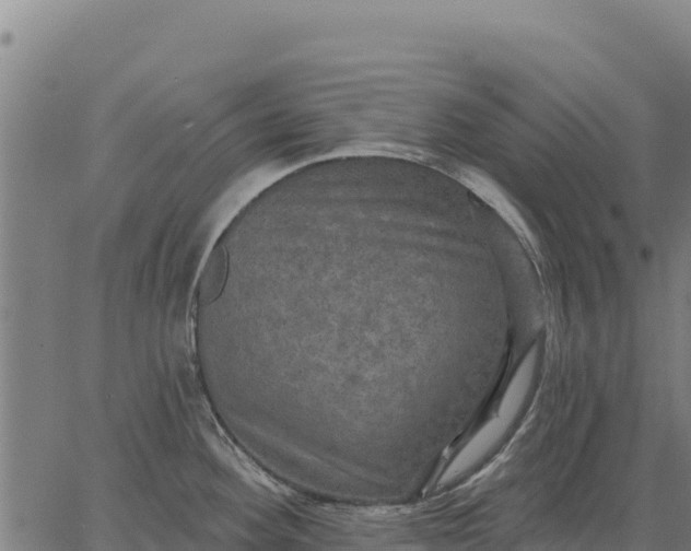 X0000066511292200603311720