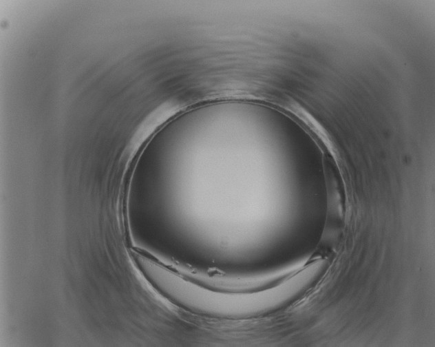 X0000066511293200603311720